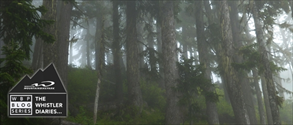 Mist and mud banner