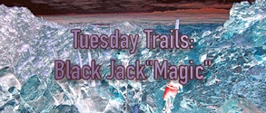 Tuesday Trails: Black Jack