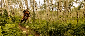 WBP Review Bike Snowmass