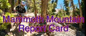 WBP Report Card: Mammoth Mountain